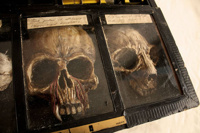 Macabre Art Works Were Discovered In The Basement Of An Old London Townhouse