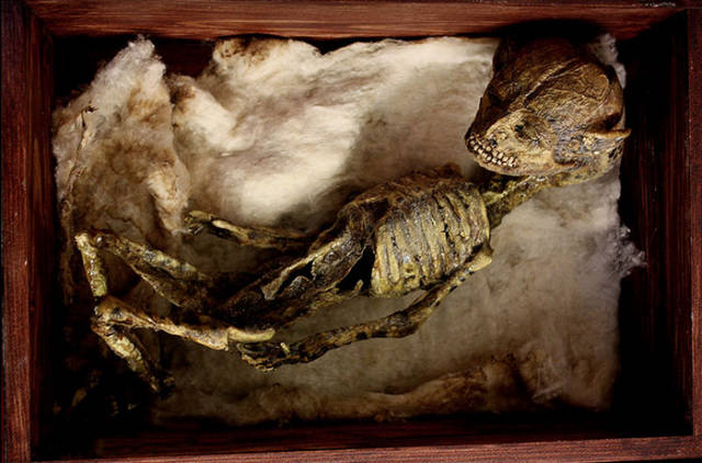Macabre Art Works Were Discovered In The Basement Of An Old London Townhouse