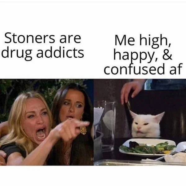 These Memes Are Kinda Stoned…