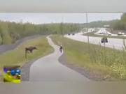 Fail And Win Compilation! (VIDEO)