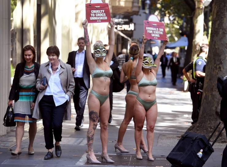 Animal Rights Activists In Bikinis And Masks Protest Against Cruelty To Crocodiles