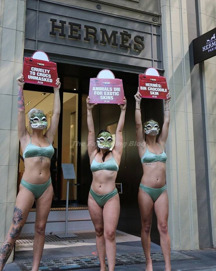Animal Rights Activists In Bikinis And Masks Protest Against Cruelty To Crocodiles