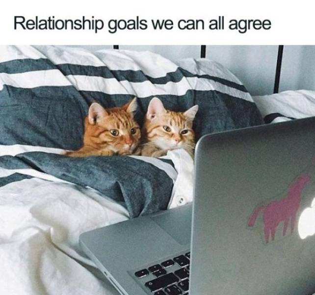 These Flirty-Dirty Memes Are For Your Special One