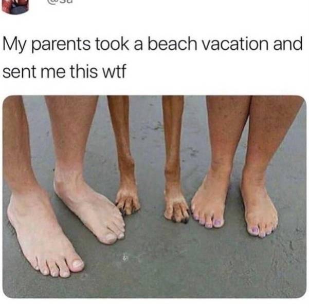 These Beach Memes Are Kinda Hot!