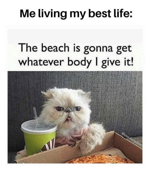 These Beach Memes Are Kinda Hot!