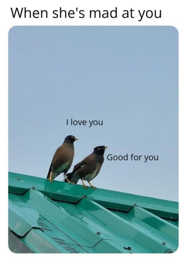 Your Special One Will Enjoy These Flirty Memes!