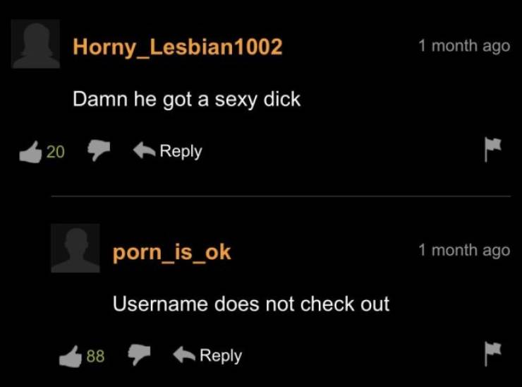 “Pornhub” Has A Very Weird Comment Section…