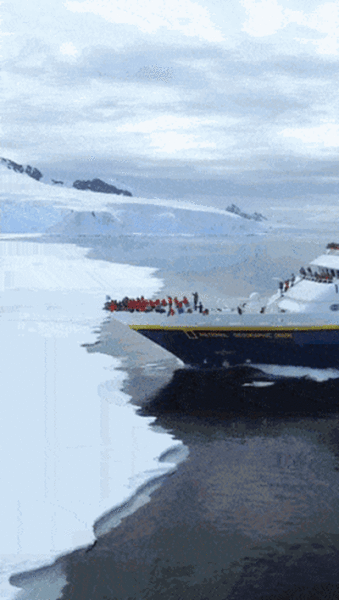That’s A Wow Right There! (24 GIFS)