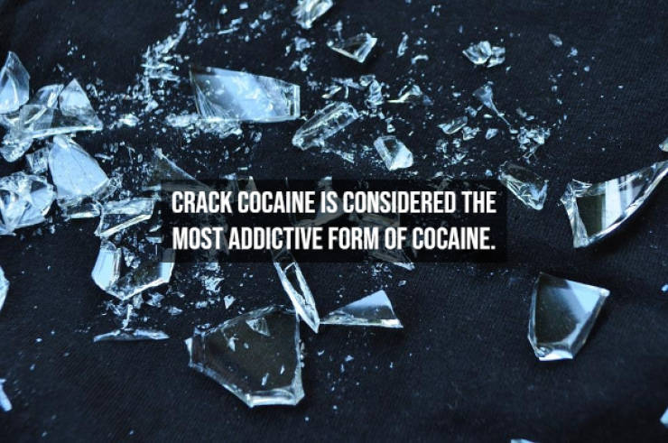 Illegal Facts About Cocaine