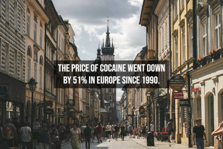 Illegal Facts About Cocaine