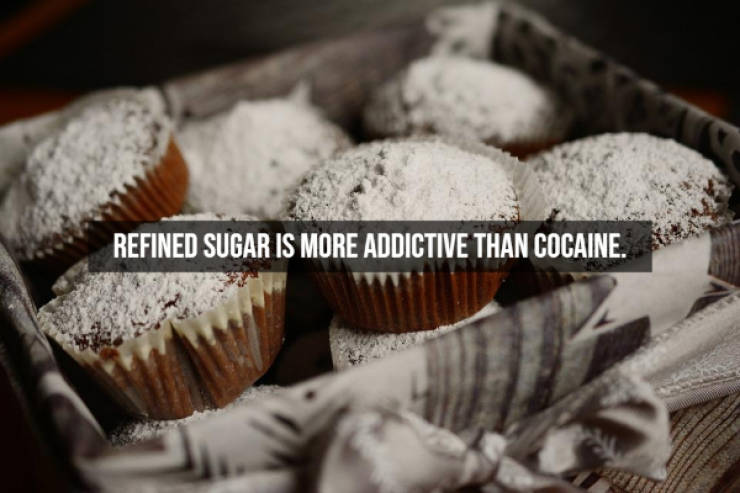 Illegal Facts About Cocaine