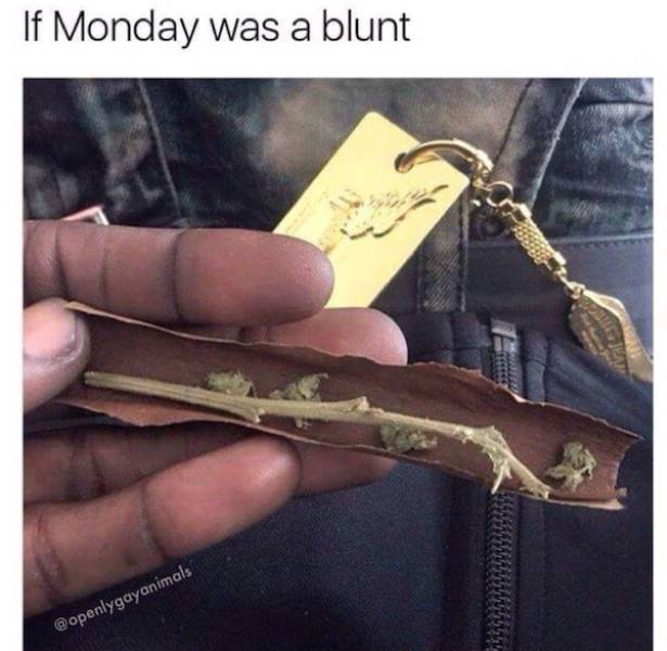 These Stoner Memes Are Already High…