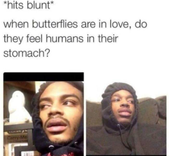 These Stoner Memes Are Already High…