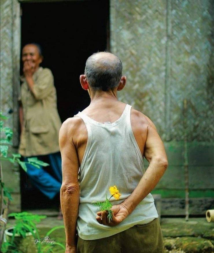 Fine Examples When A Picture Says More Than Just A Thousand Words