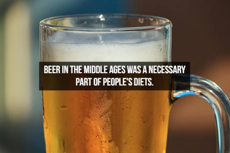 Let’s Brew Up Some Beer Facts!