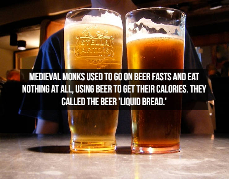 Let’s Brew Up Some Beer Facts!