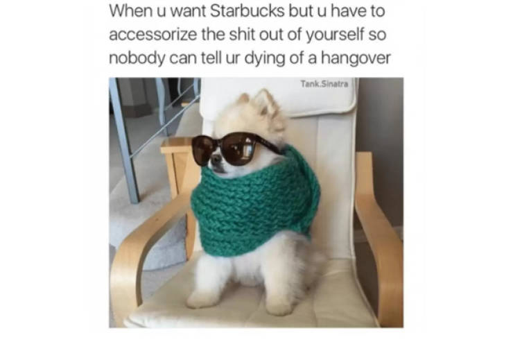 Cure Your Hangover With This Batch Of Memes