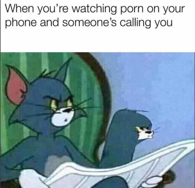 These Are Some Naughty NSFW Memes!