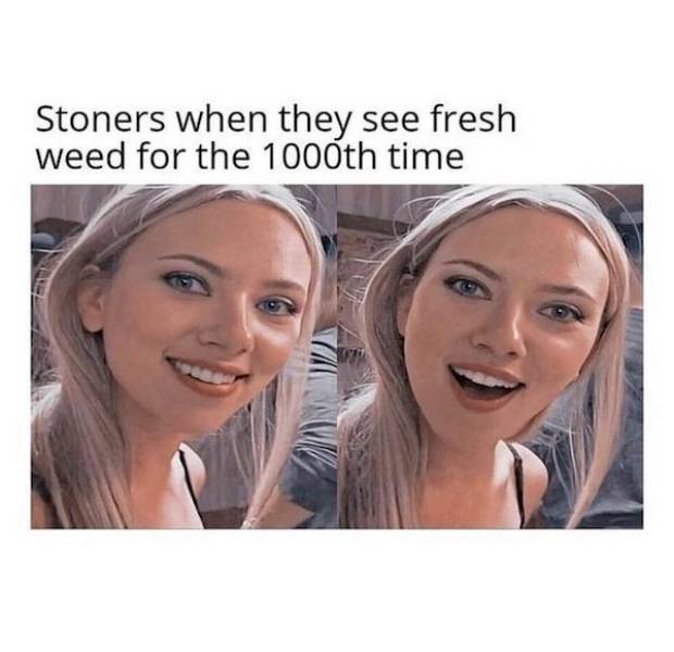 These Stoner Memes Are Already High…