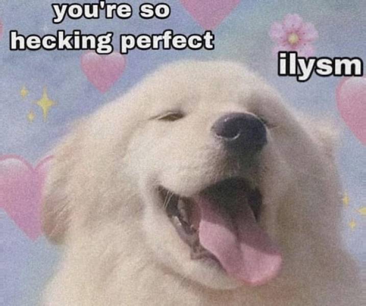 Spice Up Your Texts: Flirty Memes To Send To Your Significant Other