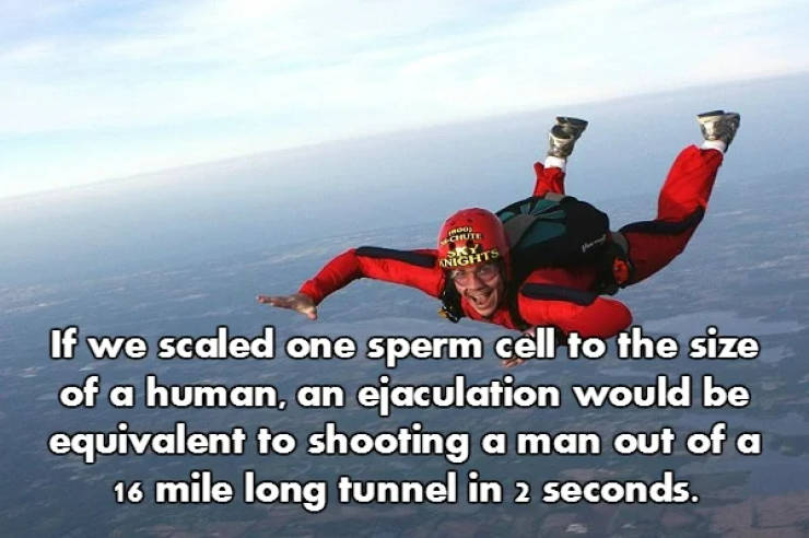 Fascinating NSFW Facts