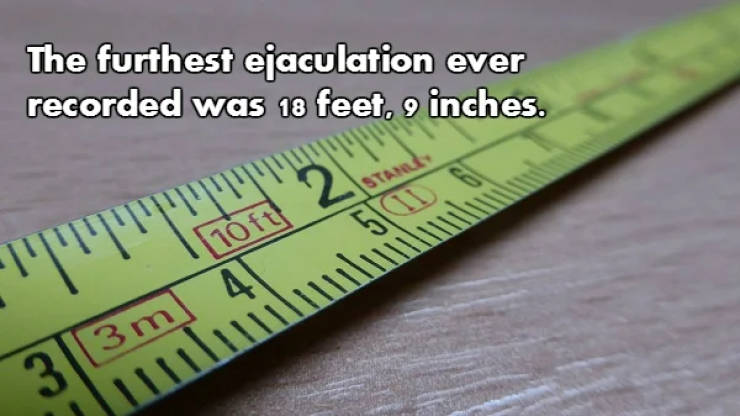 Fascinating NSFW Facts