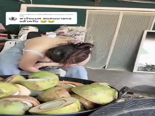 Nice Coconuts