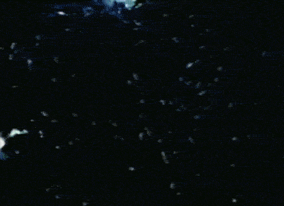 Intriguing Facts About Twins You Might Not Be Aware Of