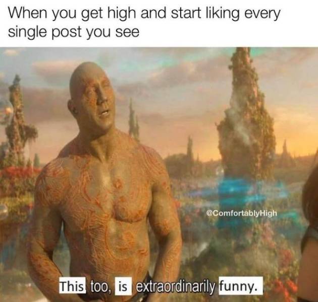 Memes That Perfectly Capture The Stoner Experience
