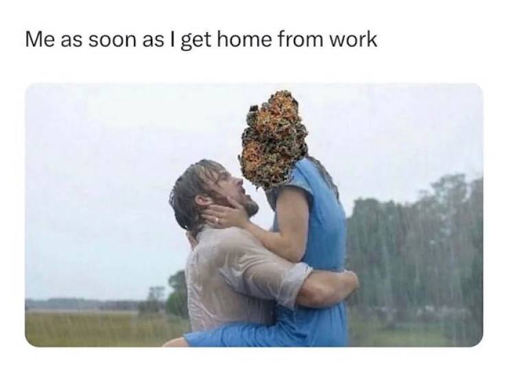 Stoner Humor: Hilarious Weed Memes For Red-Eyed Relaxation