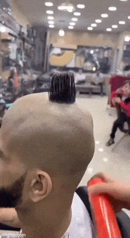 Outlandish Hair Adventures: Crazy Haircuts On Display
