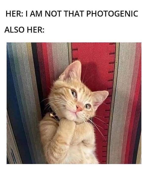 Dirty, Flirtatious To Share with Your Better Half