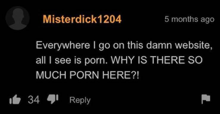 Commentary Chaos: The Wild World Inside Pornhub