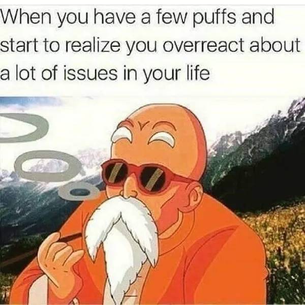 These Memes Are Already Stoned
