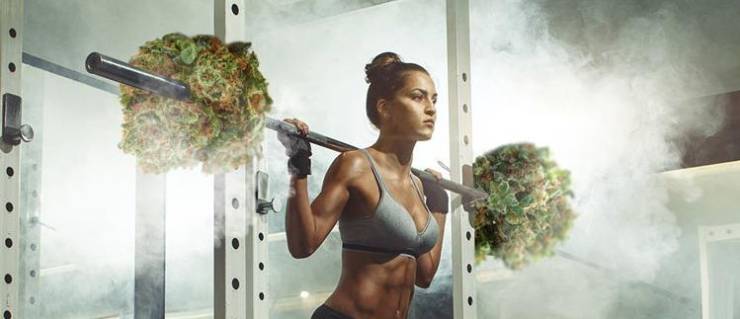 Cannabis and Fitness: Examining Its Role in Exercise and Recovery