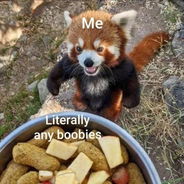 NSFW Memes To Add Some Spice To Your Life