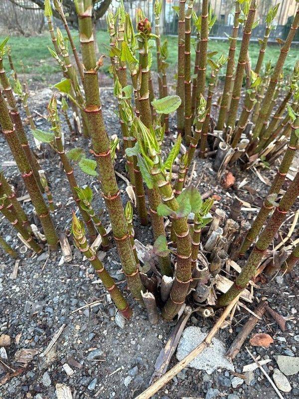 Men Reveal The Worst Places They Put Their Penis