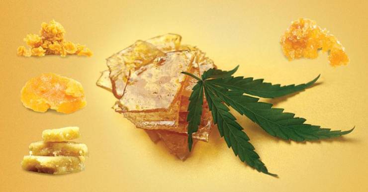 Concentrated Cannabis: The Science And Craft Of Potent Extracts