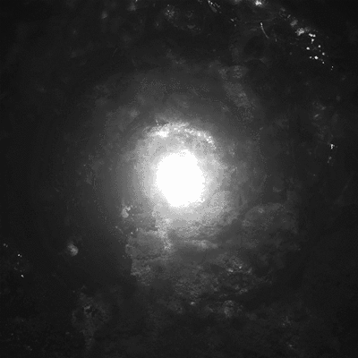 Creepy Facts That Will Keep You Up at Night