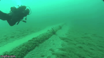 Creepy Facts That Will Keep You Up at Night