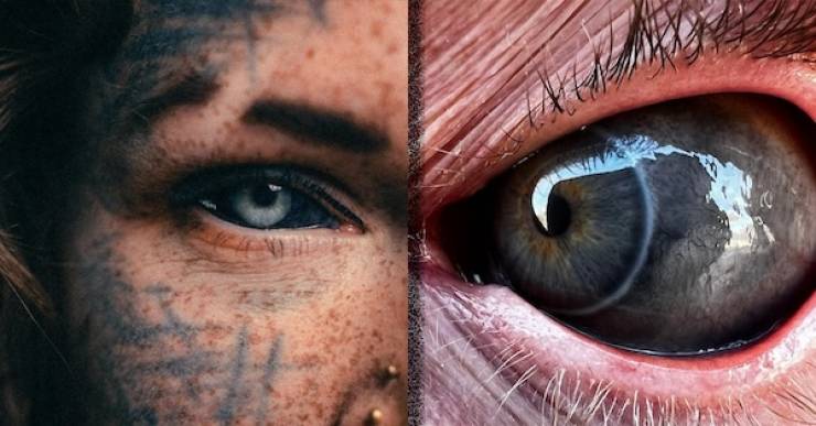 The Shocking Trend Of Eyeball Tattoos