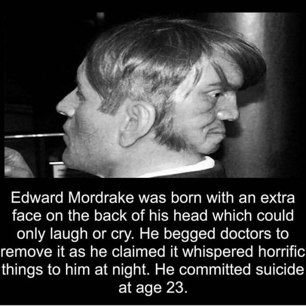 Terrifying Tales And Chilling Facts To Keep You Up At Night