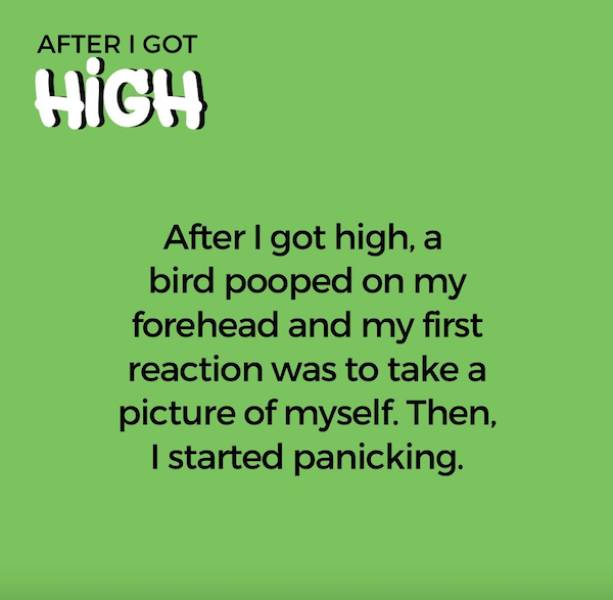 Silly Stories From The Stoner Chronicles