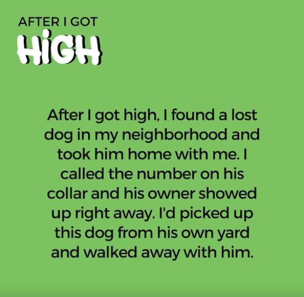 Silly Stories From The Stoner Chronicles