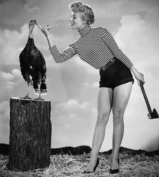 Retro Thanksgiving Pinups With Unexpected Vibes