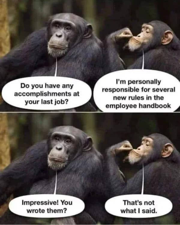 Hold On A Damn Minute!