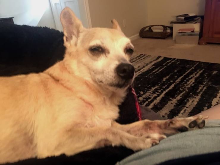 Men Respond To The Toughest Questions From Women