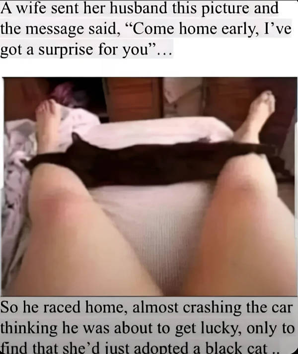 Hold Up A Damn Minute!