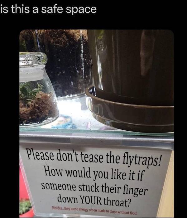 NSFW Memes To Add Some Spice To Your Life