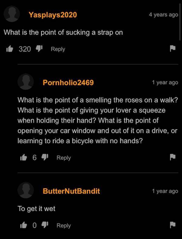 PornHub’s Comments Are Always Wild!